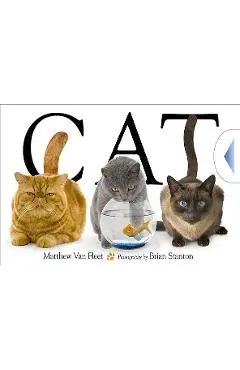 Cat - Matthew Van Fleet