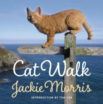 Cat Walk, Hardback/Jackie Morris