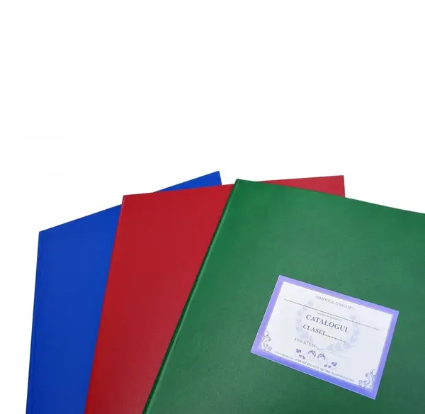 Catalog pentru școli profesionale și învățământ special 39 elevi copertă imitație piele Catalog pentru școli profesionale și învățământ special 39 elevi copertă imitație piele