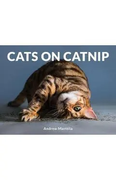 Cats on Catnip - Andrew Marttila