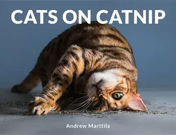 Cats on Catnip, Hardcover/Andrew Marttila