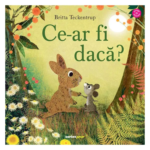 Ce-ar fi daca?