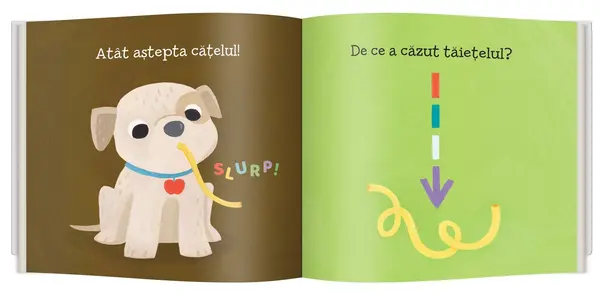Ce este gravitatia | Ruth Spiro