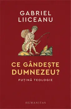 Ce gandeste Dumnezeu? Putina teologie/Gabriel Liiceanu