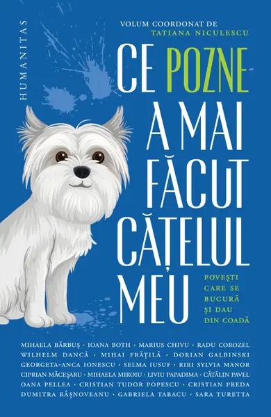 Ce pozne-a mai făcut cățelul meu