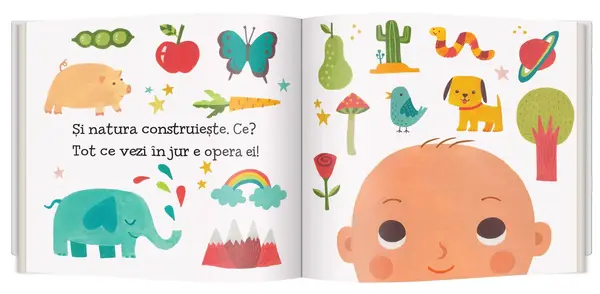 Ce sunt quarcurile | Ruth Spiro
