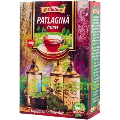 Ceai Patlagina Frunze 50g