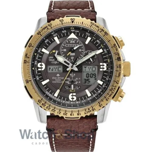 Ceas Citizen Citizen Promaster JY8084-09H