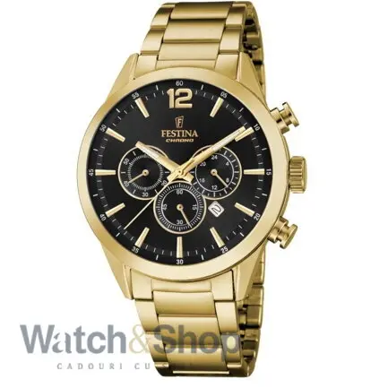 Ceas Festina F20633/3