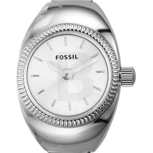 Ceas Fossil Fossil ES5245