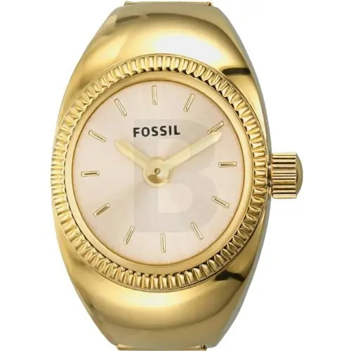 Ceas Fossil Fossil ES5246