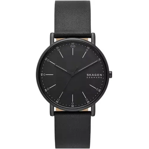 Ceas Skagen Skagen SKW6902