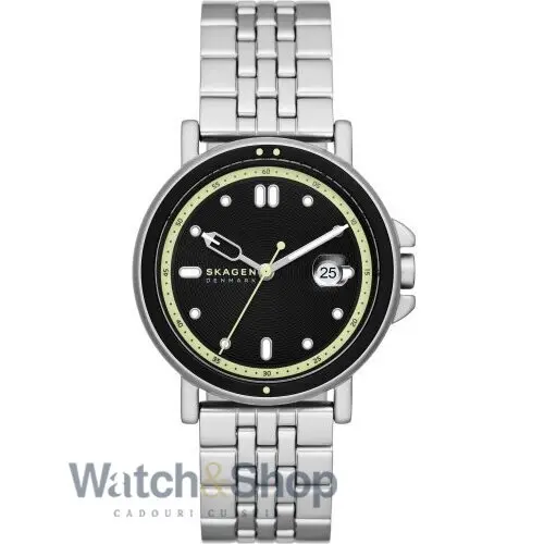 Ceas Skagen Skagen SKW6919
