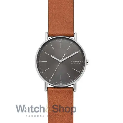 Ceas Skagen SKW6578