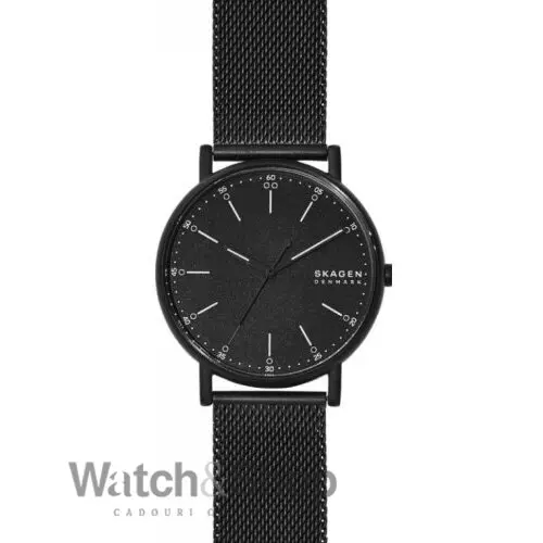 Ceas Skagen SKW6579
