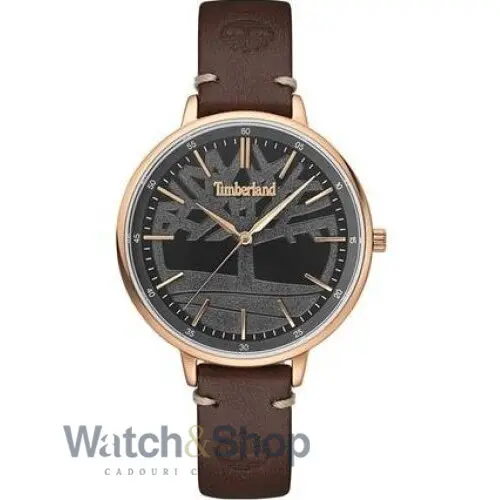 Ceas Timberland Timberland TBL.15261MSR/61