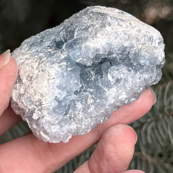 Celestit / celestina cluster m7