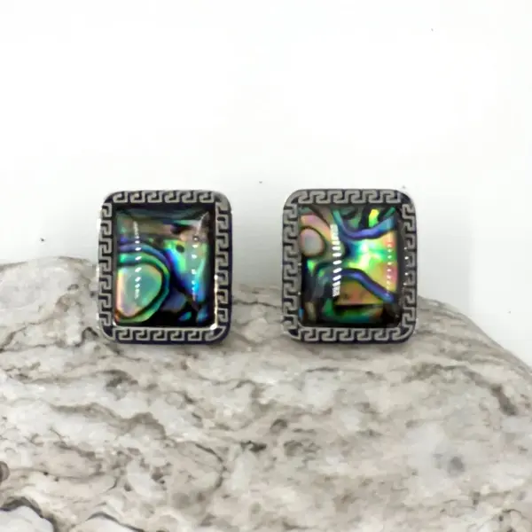 Cercei eleganti din otel inoxidabil cu paua shell multicolor