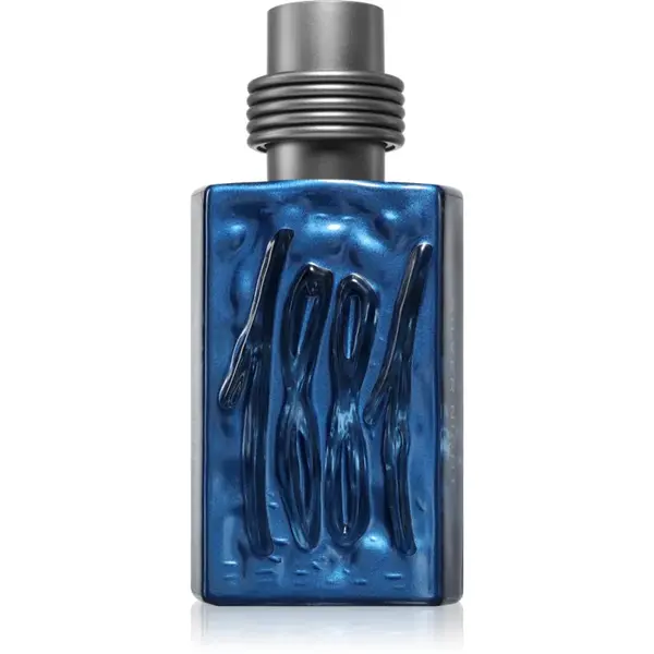 Cerruti 1881 Silver Night Eau de Parfum pentru bărbați 50 ml