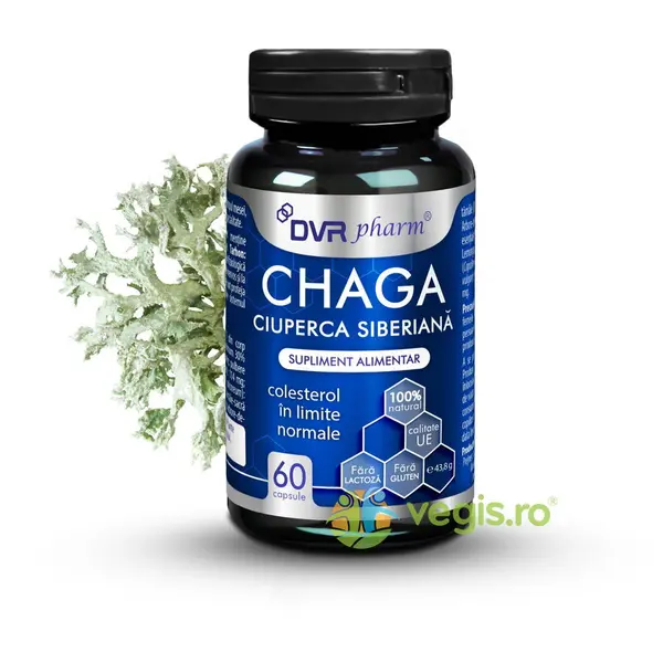Chaga (Ciuperca Siberiana) 60cps