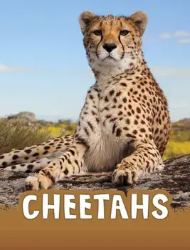 Cheetahs, Paperback/Jaclyn Jaycox