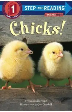 Chicks! - Sandra Horning