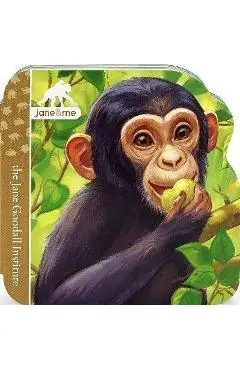 Chimpanzees - Jaye Garnett