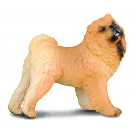 Chow Chow - Collecta