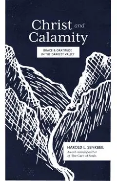 Christ and Calamity: Grace and Gratitude in the Darkest Valley - Harold Senkbeil