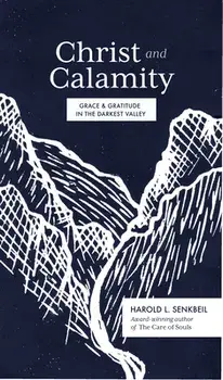 Christ and Calamity: Grace and Gratitude in the Darkest Valley, Paperback/Harold Senkbeil