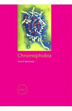 Chromophobia - David Batchelor