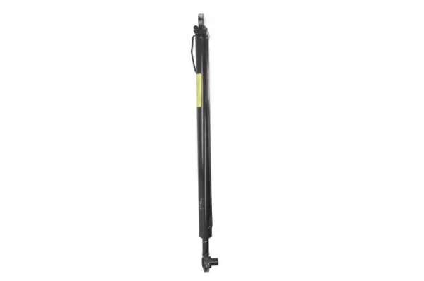 Cilindru basculare cabina sofer (scurt) potrivit MAN TGA, TGM I, TGS I, TGX I 06.99-