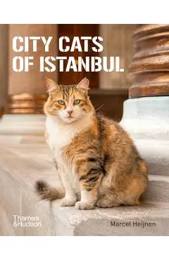 City Cats of Istanbul - Marcel Heijnen