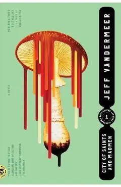 City of Saints and Madmen - Jeff Vandermeer
