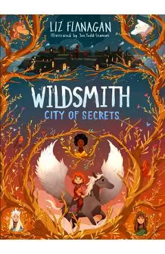 City of Secrets - Liz Flanagan