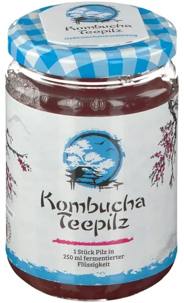 Ciupercă de ceai Kombucha cu ceai de fructe fermentat, 250 ml, Gall Pharma