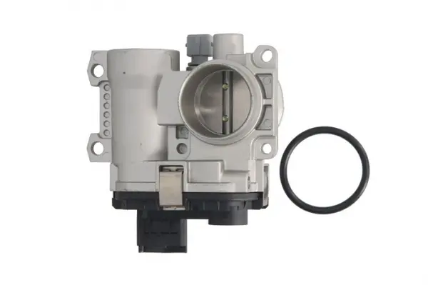 Clapeta control admisie aer RENAULT CLIO III, FLUENCE, GRAND SCENIC II, GRAND SCENIC III, MEGANE, MEGANE II, MEGANE III, MODUS, SCENIC II, SCENIC III 1.4-1.6LPG dupa 2002