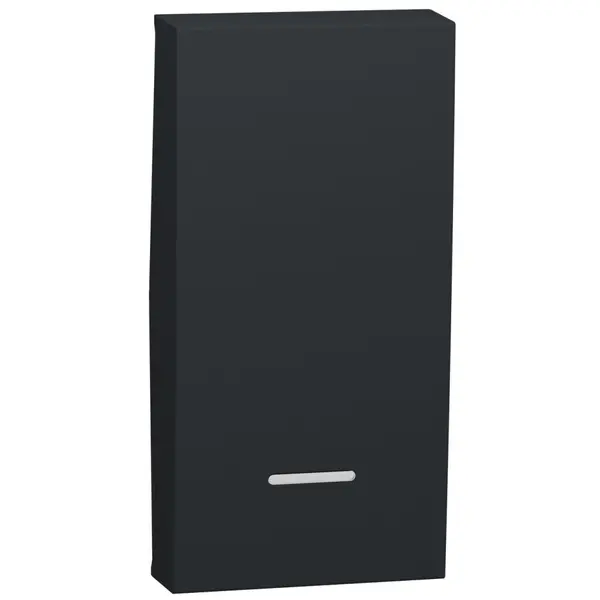 Clapeta pentru intrerupator indicator luminos 1 modul Schneider Noua Unica NU910054N, antracit