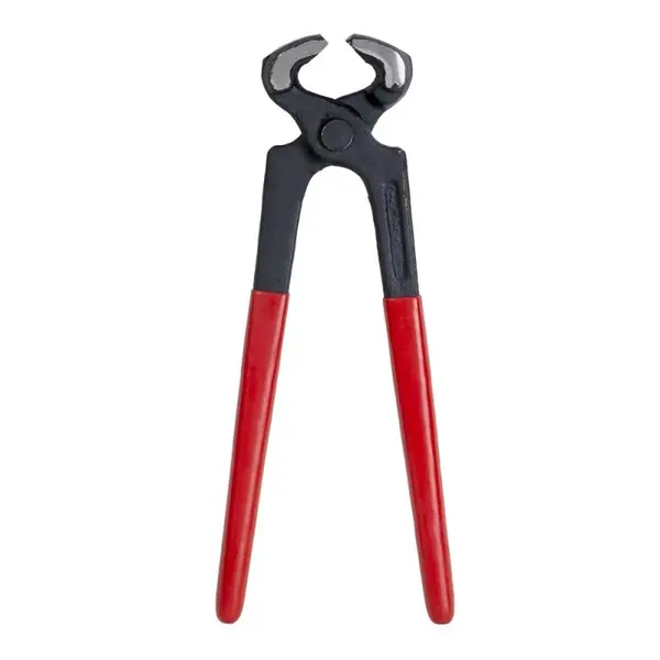 Cleste Cuie, 10 Inch, 250 mm