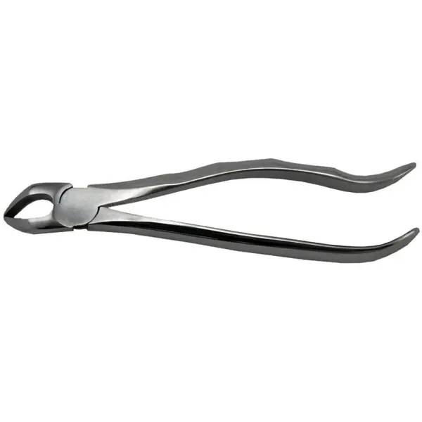 Cleste Extractie Nr. 31 pentru Radacini Inferiori, Prima