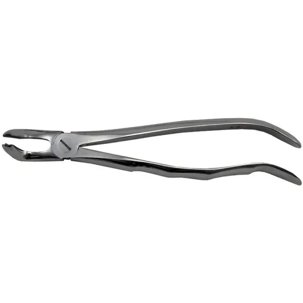 Cleste Extractie Nr. 79 pentru Molar de Minte Inferior cu Pinteni, Prima