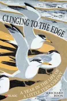 Clinging to the Edge. A Year in the Life of a Little Tern Colony, Paperback/Richard Boon