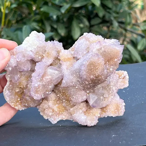 Cluster cuart cactus Africa de Sud model 106