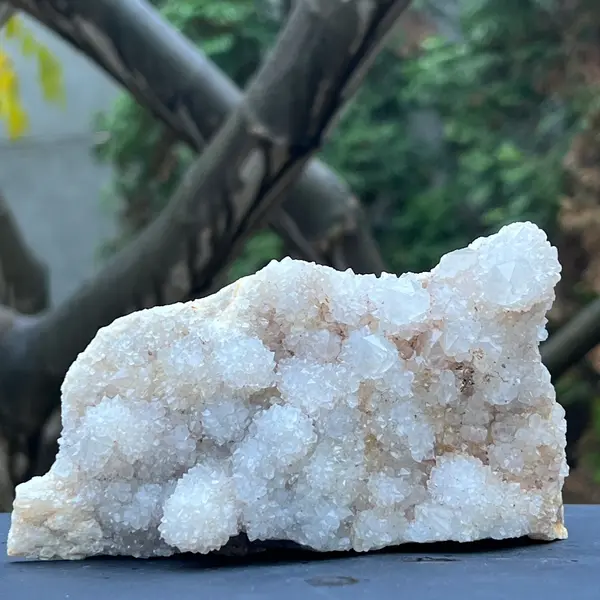 Cluster cuart cactus / cuart spirit model 3A1