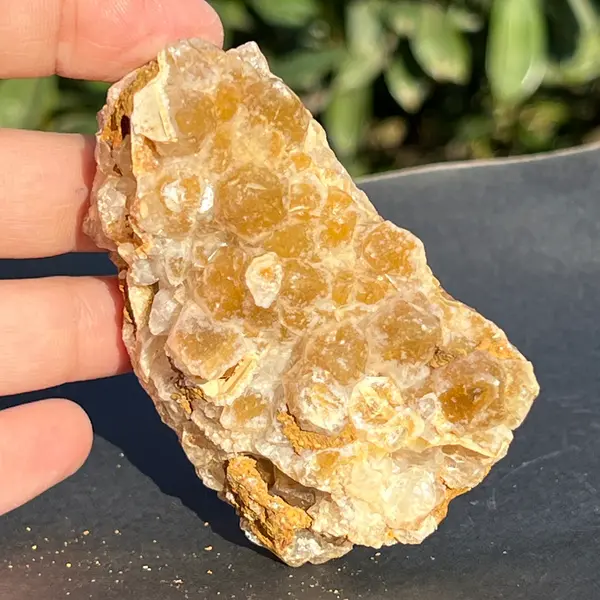 Cluster cuart lamaie Zambia, golden healer model 36