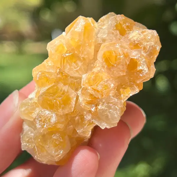 Cluster cuart lamaie Zambia, golden healer model 47