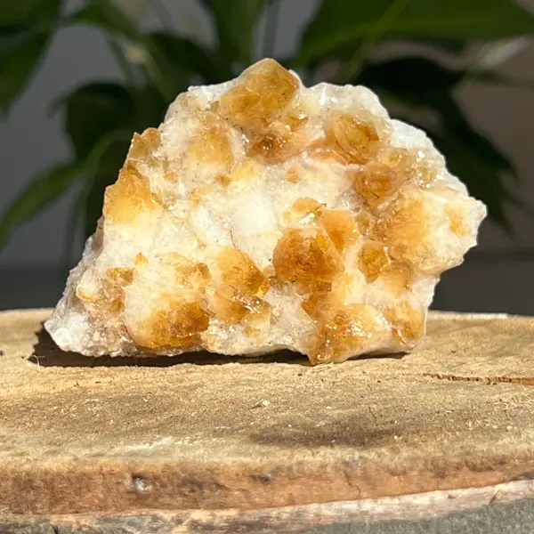 Cluster de Citrin tratat termic| Model 15