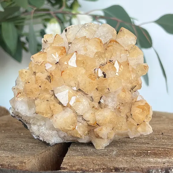Cluster de Citrin tratat termic| Model 3