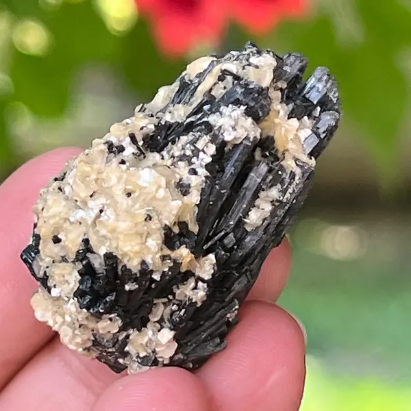 Cluster turmalina neagra cu vermiculita din Erongo m3