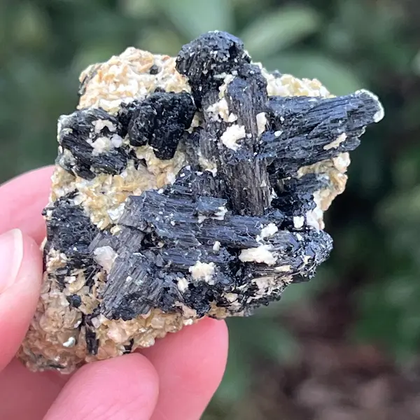 Cluster turmalina neagra din Erongo m10